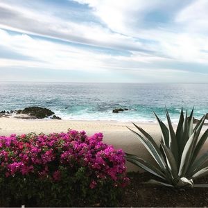 Meet your Posher, Marisol